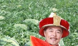 吃瓜 瓜农 娱乐圈,瓜农视角下的娱乐圈风云录